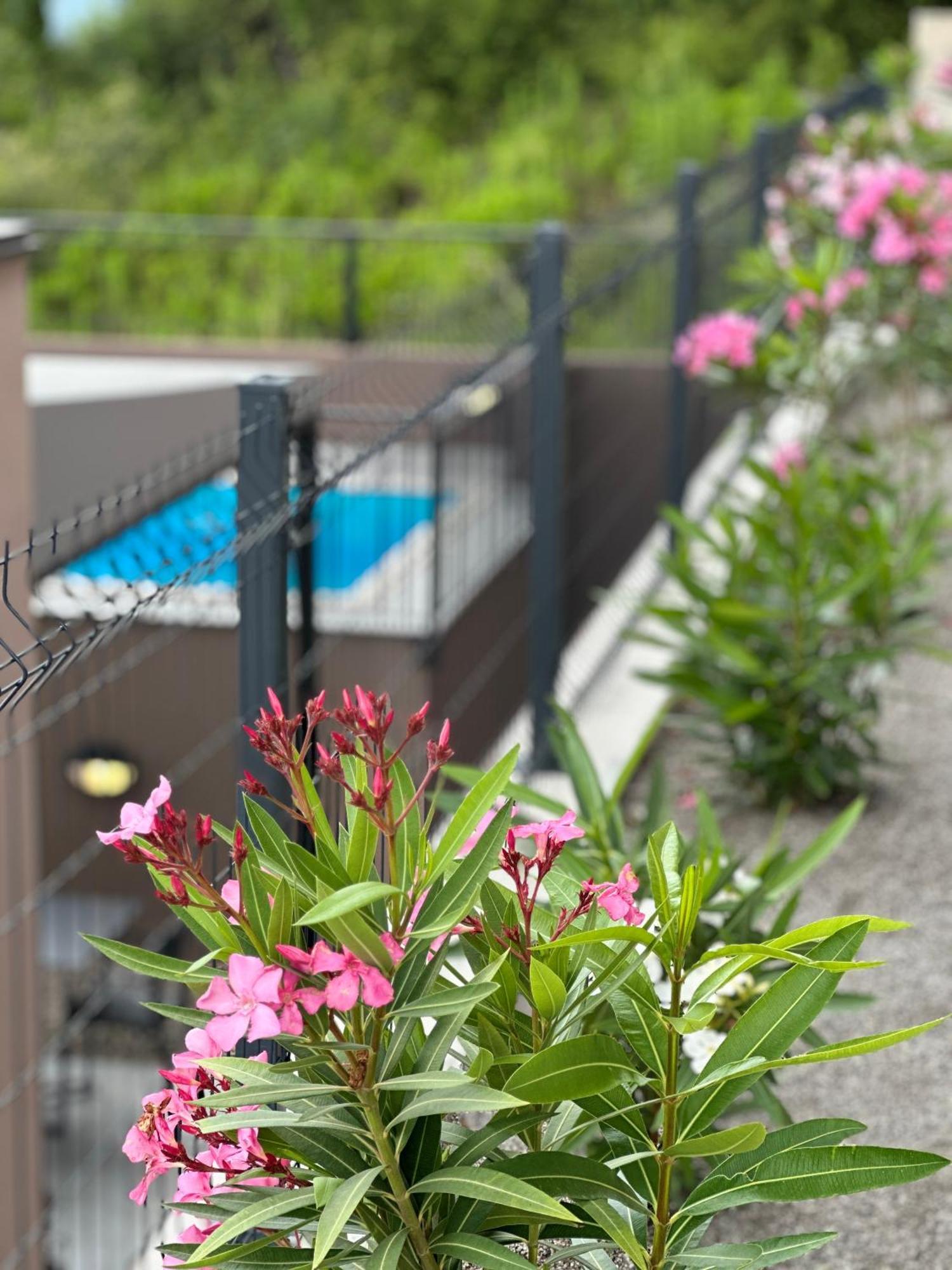 Residence Spa Apartments Dub Kotor Exterior foto